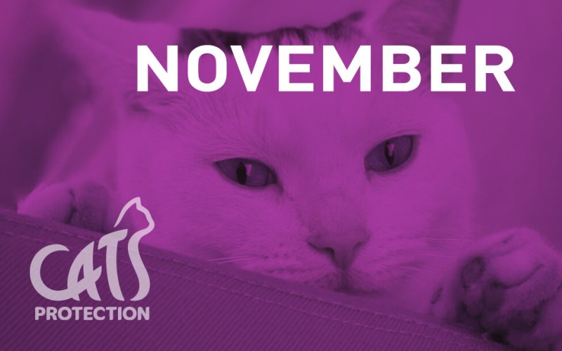Creative round-up November 2023