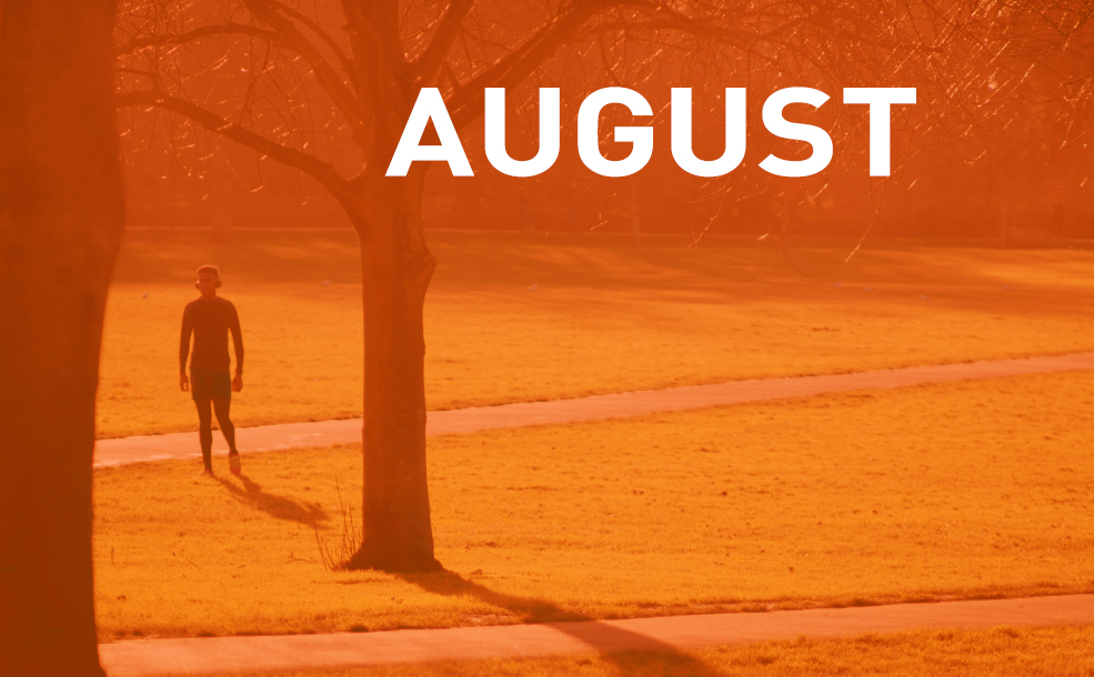 Creative round-up August 2022