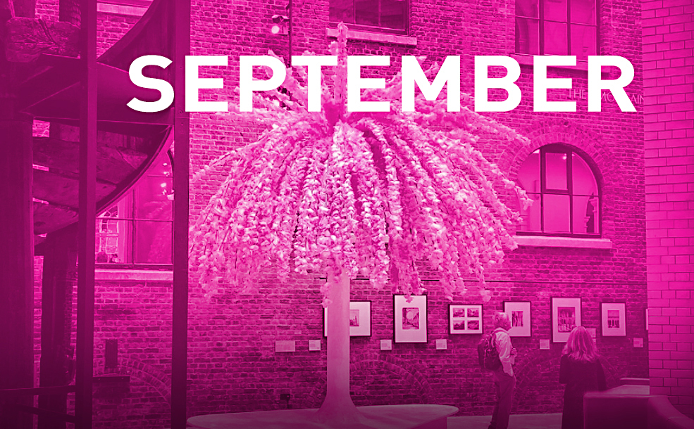 Creative round-up September 2023